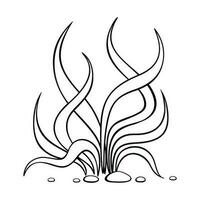 Outline underwater algae. Black and white illustration of seaweed . Vector clipart isolated on white background.