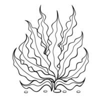 Outline underwater algae. Black and white illustration of seaweed . Vector clipart isolated on white background.