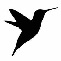 vector birds silhouettes