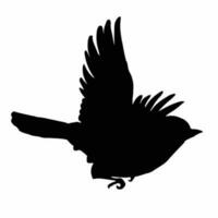 vector birds silhouettes