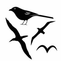 vector birds silhouettes