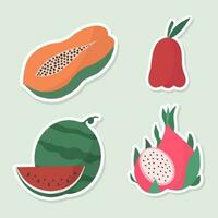 Tropical fruit vector icons. Set of 4 fruit rose apple watermelon papaya dragon fruit stickers. Hand drawn vector illustration.