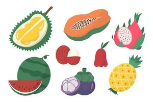 Mixed tropical fruits vector isolated on white background.