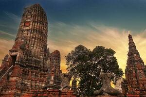 Ayutthaya Historical Park, ancient and beautiful temple in Ayutthaya period Wat Chaiwatthanaram, Thailand photo