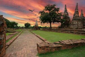 estupa y templo restos en puesta de sol hora con bandadas de aves volador atrás, antiguo y hermosa templo construido en ayutthaya período, tailandia foto