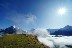 hermosa ver de naturaleza sendero en el mañana, Grindelwald primero, más alto picos eiger, Suiza Alpes. para senderismo, senderismo, alpinismo o naturaleza caminar actividades. foto