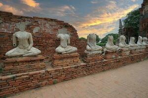 ayutthaya histórico parque, antiguo y hermosa templo en ayutthaya período wat chaiwattanaram, Tailandia foto