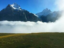 hermosa brumoso ver en el mañana, Grindelwald primero, más alto picos eiger, Suiza Alpes. foto