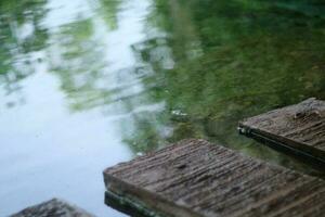 Wooden pier on the lake, close-up view of water surface photo