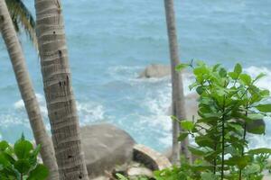 beautiful beach and sea photo