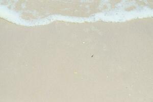 foam wave seaside beach photo