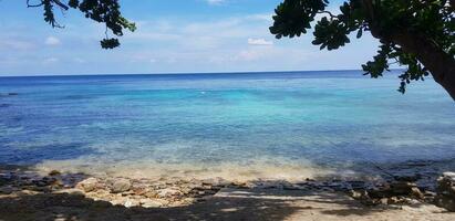 a beach with clear water and trees on the shore photo