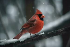 rojo cardenal pájaro rama. generar ai foto