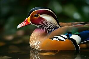 Mandarin duck. Generate Ai photo