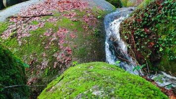 petit Cascade écoulement à haute la vitesse entre le rochers de une courant après orageux journées video