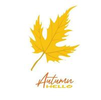 Autumn maple leaves vector illustration.  Autumn  leaves design template for decoration, sale banner, advertisement, greeting card and media content. Autumn concept. Flat vector isolated on white.