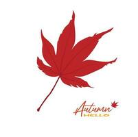 Autumn maple leaves vector illustration.  Autumn  leaves design template for decoration, sale banner, advertisement, greeting card and media content. Autumn concept. Flat vector isolated on white.