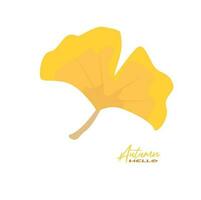 Autumn ginkgo leaves vector illustration.  Autumn  leaves design template for decoration, sale banner, advertisement, greeting card and media content. Autumn concept. Flat vector isolated on white.