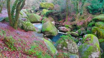 agua que fluye a gran velocidad entre las rocas después de días tormentosos video