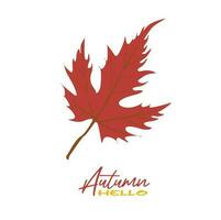 Autumn maple leaves vector illustration.  Autumn  leaves design template for decoration, sale banner, advertisement, greeting card and media content. Autumn concept. Flat vector isolated on white.