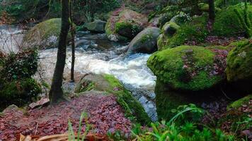 agua que fluye a gran velocidad entre las rocas después de días tormentosos video