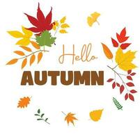 Hello autumn vector.  Autumn design template for decoration, sale banner, advertisement, greeting card and media content. Autumn element illustration. Autumn leaves flat vector isolated on white.