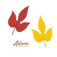 Autumn leaves vector illustration.  Autumn leaves design template for decoration, sale banner, advertisement, greeting card and media content. Autumn concept. Flat vector isolated on white.