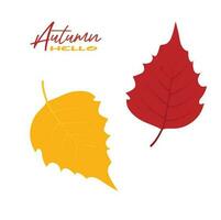 Autumn aspen tree leaves vector illustration.  Autumn leaves design template for decoration, sale banner, advertisement, greeting card and media content. Autumn concept. Flat vector isolated on white.
