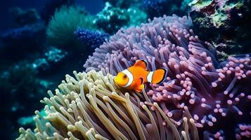 Nemo fish among coral reefs. Marine  environment. AI generated photo