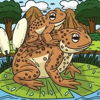 Mother Frog and Baby Frog Colored Cartoon vector