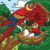 Mother Parrot and Baby Parrot Colored Cartoon vector