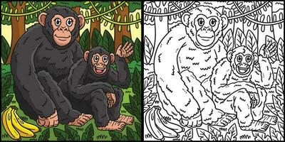 Mother Chimpanzee and Baby Chimpanzee Illustration vector