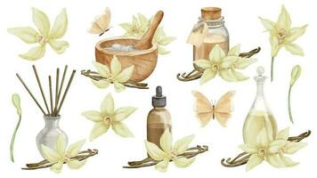 Vanilla Essential Oil with flowers and sticks. Hand drawn watercolor set of illustrations of bottles with ingredients for aroma therapy on white isolated background. Retro flacons for cosmetic flavor vector