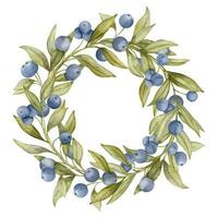 Blueberry Wreath. Hand drawn watercolor illustration of round Frame with bilberry on white isolated background. Circular border of ripe juicy blue berries. Drawing of Huckleberry for icon or logo vector