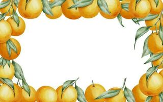 Orange Fruits rectangular Frame. Hand drawn watercolor illustration of Border with Citrus branches on white isolated background. Drawing with tangerines and clementine for food label or cards design vector