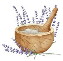 mortero y mano de mortero con lavanda flores mano dibujado acuarela ilustración para alternativa medicina o esencial petróleo producción en blanco aislado antecedentes. Clásico dibujo para aromaterapia etiqueta vector