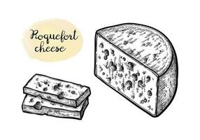 Roquefort cheese. Blocks and slices. Ink sketch isolated on white background. Hand drawn vector illustration. Vintage style stroke drawing.