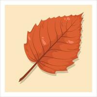 Autumn leaf, isolated on yellow background. Colorful red, brown  birch, linden or elm leaf. Fall design element. Objects for design, cards, banners, flyer, social media, web, decoration vector