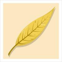 Autumn leaf, isolated on yellow background. Colorful yellow orange  willow tree leaf. Fall design element. Objects for design, cards, banners, flyer, social media, web, decoration vector