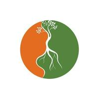 mangrove logo and symbol vector