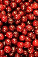 bright juicy cherry background texture photo