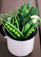 green peas in a bowl photo