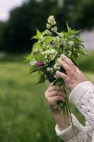 Wildflowers nature bouquet spring ecology photo