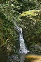 cascada en el lotenbachklamm en naturaleza reserva negro bosque foto