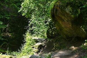 Wanderlust in the black forest. Hiking trail in the Lotenbachklamm photo