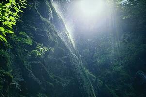 Waterfall on moss covered rocks photographed against the light photo