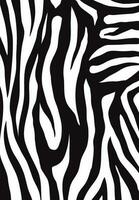 Zebra Stripes Seamless Pattern vector