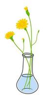 Blooming flowers in vase, home decoration vector