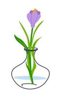 Blooming flower in glass vase, floral decoration vector