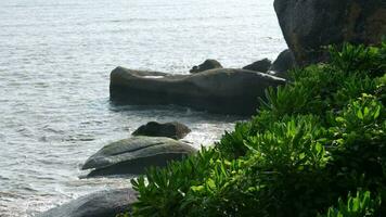 Slow motion serene sea coastal rock video